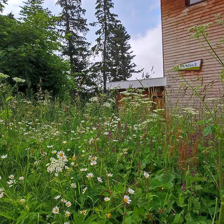 Les Arolles E23, Classe 3 Etoiles A 1700 Apartament Chamrousse