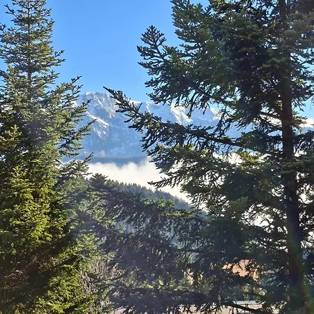 Les Arolles E23, Classé 3 étoiles à 1700 Appartement Chamrousse