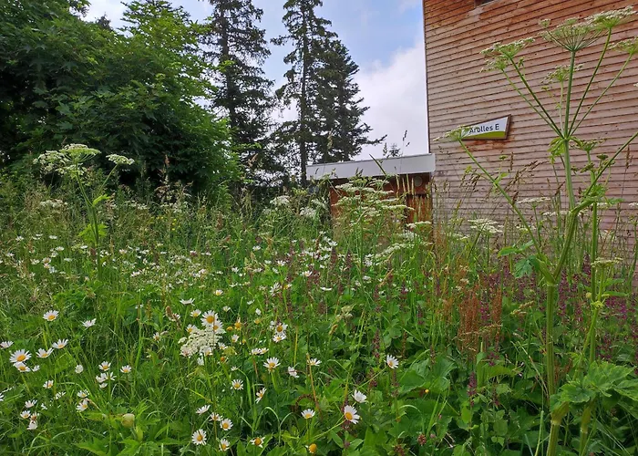 Les Arolles E23, Classé 3 étoiles à 1700 Appartement Chamrousse