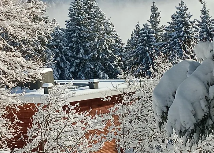 Les Arolles E23, Classé 3 étoiles à 1700 Chamrousse