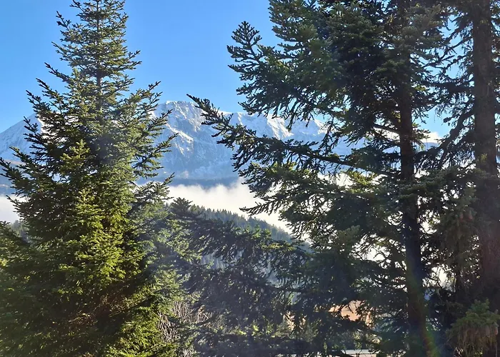 Les Arolles E23, Classé 3 étoiles à 1700 Appartement Chamrousse